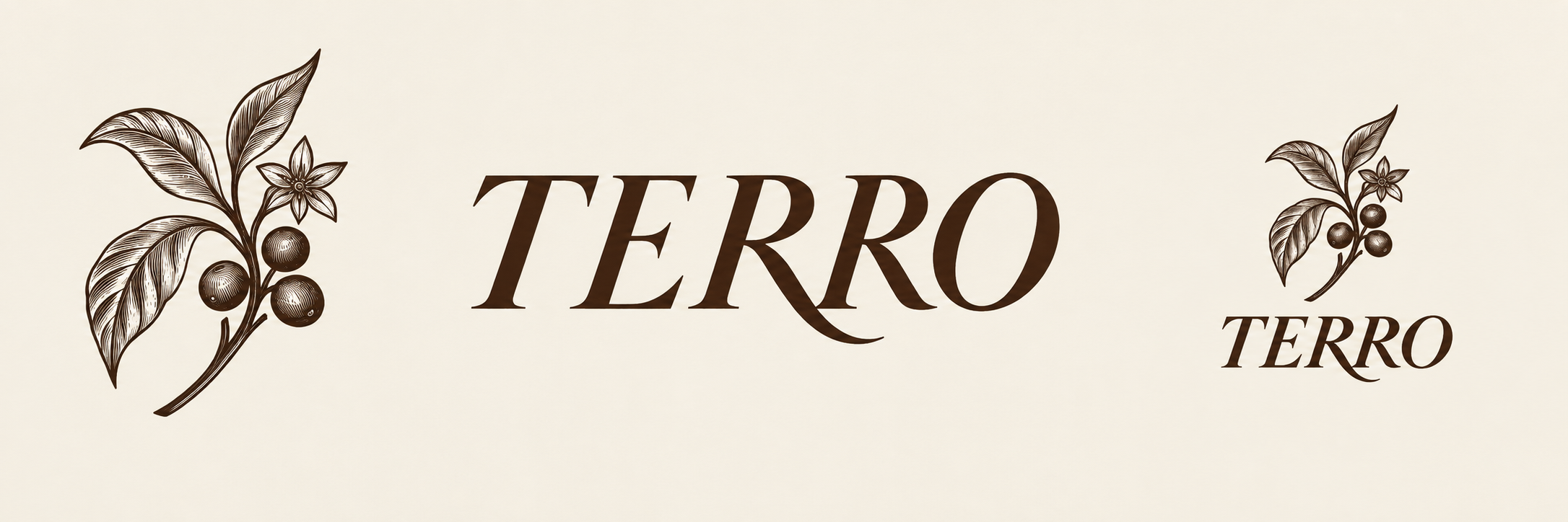 TERRO